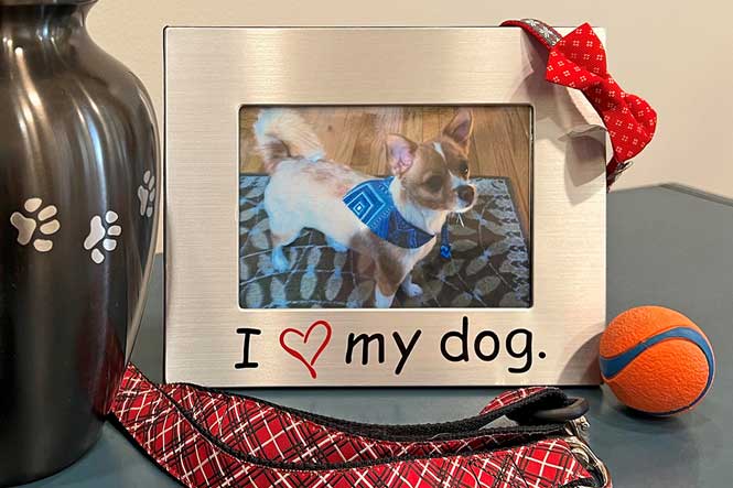 Dog photo in picture frame with dog leash, dog toys and pet cremation urn.
